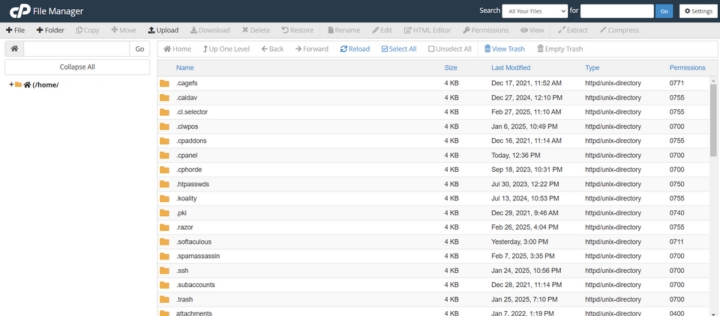 Learn how to use cPanel for website File manager with this step-by-step guide